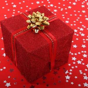 (B) Cabin Fever Music Series 2026 ~ 4 Concerts ~ Gift Certificate EMAILED